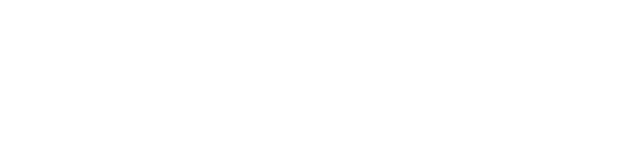 SoftDev.Mx